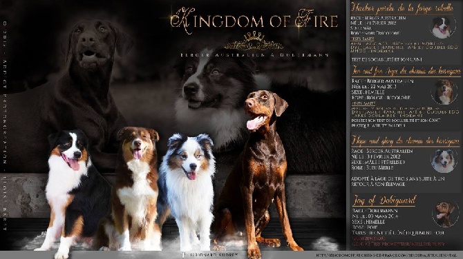 Kingdom Of Fire - Addict photo et création