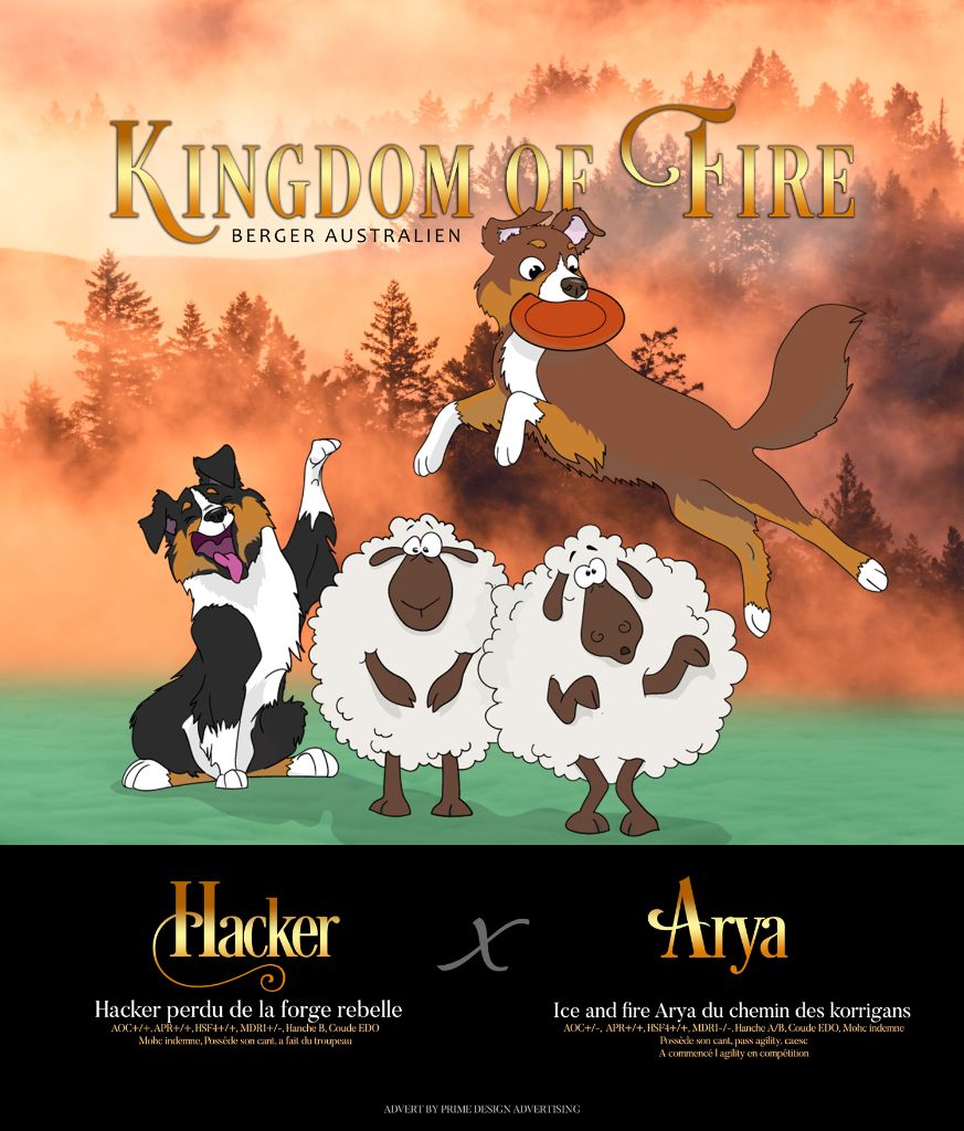 Kingdom Of Fire - Mariage Hacker et Arya