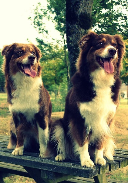 Retrouvaille Arya/Lexie